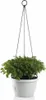 Marina závesný kvetináč terakota priemer 30 cm Náhľad obrázku produktu 6