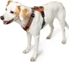 Hunter harnais Maldon, taille:XS, couleur:orange/gris Voir les images du produit 2