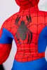 Close-up of the back of a Spider-Man costume, showing the spider emblem. Náhľad obrázku produktu