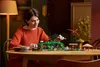 LEGO Icons - Der Herr der Ringe Das Auenland 18+ 10354 Voir les images du produit 10