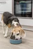TRIXIE Slow Feeding Keramiknapf  - grau/blau - 0,9 l/ø 17 Produktbild-Vorschau 7