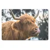 MuchoWow® Schreibtischunterlage Schottischer Highlander - Produktbild-Vorschau 1