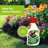 Protect Garden Permaclean Express Unkrautfrei AF - 1 Liter Produktbild-Vorschau 6