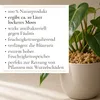 Sphagnum Moos 150g, ca. 10L – stark Wasser-speicherndes Produktbild-Vorschau 2