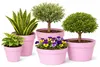 Mega Collections Pflanzentopf/blumentopf - Kunststoff - Produktbild-Vorschau 4