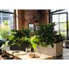 LECHUZA-Pflanzgefäß BALCONERA Stone 50 Sandbeige | Produktbild-Vorschau 8