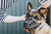 Hunter Maulkorb für Hunde Albury 4 schwarz Produktbild-Vorschau 22