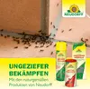 Neudorff Doppelfliegenklatsche – Innovative Fliegenklatsche Produktbild-Vorschau 7