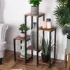 A multi-tiered plant stand with various plants and decorative items displayed on it, placed in a room setting next to a chair and a large potted plant. Anteprima dell’immagine prodotto