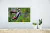 MuchoWow® Poster Ein Buntspecht beim Fressen 30x20 cm - Produktbild-Vorschau 5