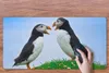 MuchoWow® Schreibtischunterlage Tiere - Vögel - Produktbild-Vorschau 3