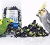 Schwarze Malvenblätter - Schwarze Malve für alle Papageien Produktbild-Vorschau 5