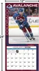 Turner Colorado Avalanche NHL 30,5 x 30,5 cm Team Produktbild-Vorschau 6