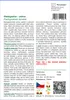SAFLAX Garden to go - Madagaskar - palma - Pachypodium Náhled obrázku produktu 3