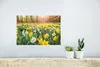 MuchoWow® Poster Narzisse - Farben - Frühling 30x20 cm - Produktbild-Vorschau 5