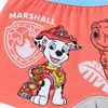 Paw Patrol Dino Film Jungen Boxershorts Unterhose 2er Pack Produktbild-Vorschau 5