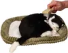 Perfect Petzzz Plyšová mačka britská krátkosrstá 92554 Náhľad obrázku produktu 3
