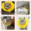 A collage of four images showing cats wearing yellow sunflower-shaped collars. Produktbild-Vorschau