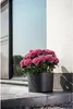 Garten ID Respect Pflanzgefäß Schwarz 20 x 20 cm Produktbild-Vorschau 4