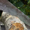 Drel Two-hand Saw 100 cm for wooden | Drel Produktbild-Vorschau 4