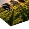 MuchoWow® MuchoWow® Gerahmtes Poster Kühe - Sonne - Gras - Produktbild-Vorschau 6