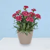 Květináč SPLOFY 21,8 cm - barva: bílá Voir les images du produit 5