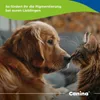 Canina Seealgen Tabletten | 750g Produktbild-Vorschau 2