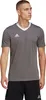 adidas Entrada 22 Trikot XL TEGRFO Produktbild-Vorschau 7