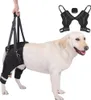 INF Imbracatura di Supporto Posteriore per Cani - Aiuto Anteprima dell’immagine prodotto 1