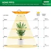 Diagram showing light distribution and PPFD values of a grow light at different heights. Produktbild-Vorschau
