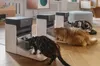 Petlibro One RFID Smart, Haustierfutterautomat, Weiß, Produktbild-Vorschau 5