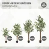 ML-Design Künstliche Eukalyptus 150 cm, Kunstpflanze mit Produktbild-Vorschau 6