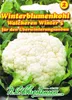 Blumenkohl Walcheren Winter 5 | Blumenkohlsamen von N.L. Produktbild-Vorschau 3