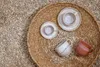 Villeroy & Boch Perlemor Sand, Porzellan, Beige, 161 mm, Produktbild-Vorschau 17