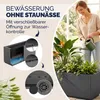 CASARIA® Fioriera da Esterno Ethica in Plastica 80L Anteprima dell’immagine prodotto 4