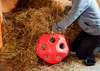 KERBL Heuball Pferde Spielzeug Futterspielball Pink Produktbild-Vorschau 4