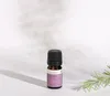 Lavendelöl, ätherisches Öl, 100% Rein, BIO, natürlich, 10 Produktbild-Vorschau 8