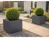 Palatino Exclusive Line Hochbeet/Pflanzkübel Clara verz. Produktbild-Vorschau 5