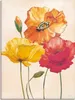 ARTland Leinwandbild Bunte Mohnblumen I Größe: 90x120 cm Produktbild-Vorschau 1