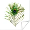 MuchoWow® Poster Pfauenfedern - Grün - Augen 50x50 cm - Produktbild-Vorschau 1
