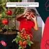 KOTARBAU® 2er Set Tomatenpflanze Pflanzkübel ⌀ 30 cm mit Produktbild-Vorschau 8