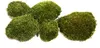 Natur Hügelmoos waldgrün 35 x 25 cm, reines Naturprodukt Produktbild-Vorschau 1