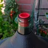 Gummistopfen für Korbflaschen - 4,5 cm Produktbild-Vorschau 5