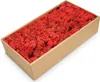 Islandmoos 500g in 30 Farben – Konserviertes Rentiermoos Produktbild-Vorschau 1