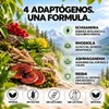 Spray Estrés – Ashwagandha, Rhodiola, Reishi y Schisandra – Vista previa de la imagen del producto 3