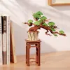 RoboTime 3D puzzle en bois Bonsaï pin Voir les images du produit 9