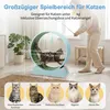 Roue d'exercice pour chat ALIGHTUP, tapis roulant pour Voir les images du produit 2
