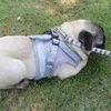 A pug dog wearing a gray harness and leash lies on green grass. Náhled obrázku produktu