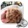 Fibre de coco 5 l - Haute qualité - Riche en éléments Voir les images du produit 4