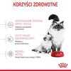 Marketing image showing two cats and a bowl of cat food, with text highlighting health benefits. Anteprima dell’immagine prodotto